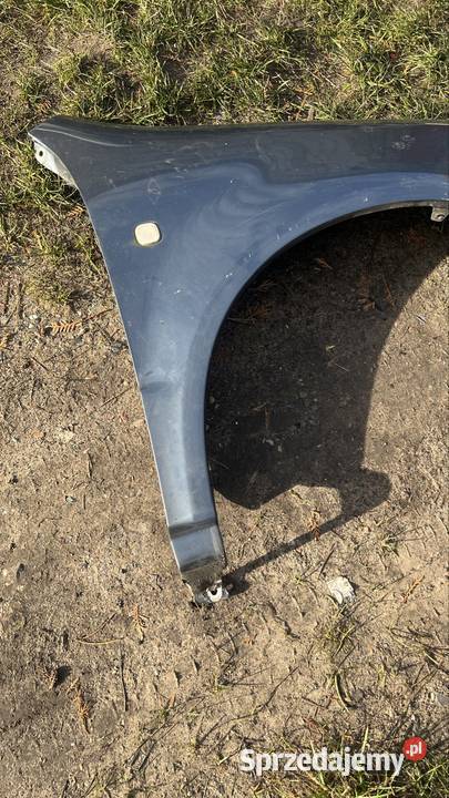 Blotnik prawy skoda fabia 1 szary wielkopolskie Margonin