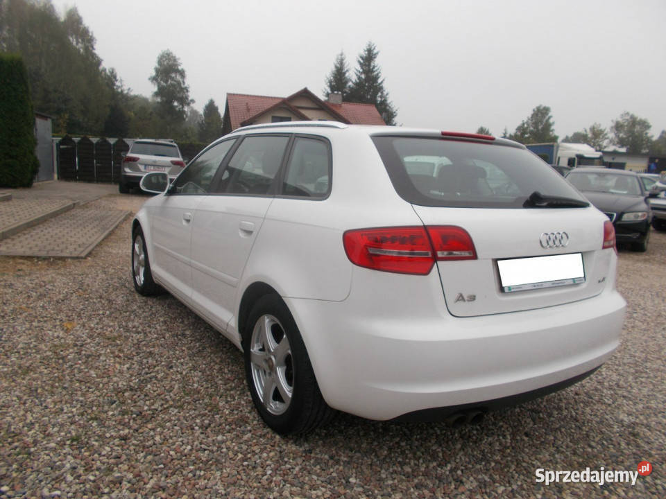 Audi A3 14 Turbo Benzyna 125Klima 158 8P 2003201 możliwa zamiana Białystok