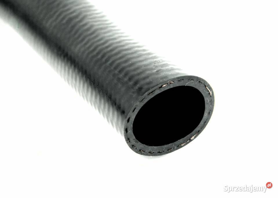 Wąż dolny Hinomoto podkarpackie Tajęcina