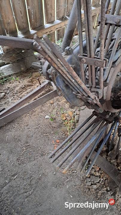 Kopaczka jednorzędowa Brzeg