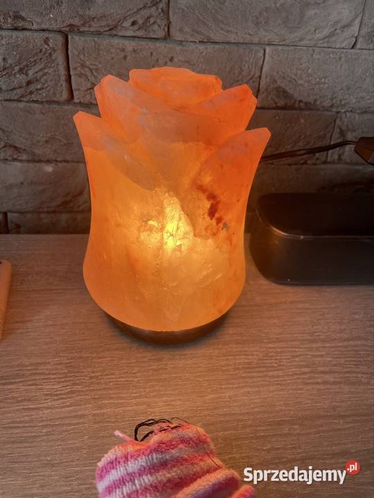 Lampa solna kwiat róży