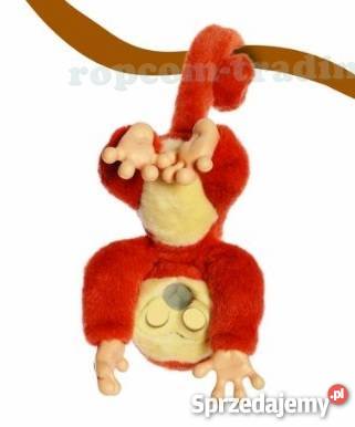 Maskotka Interaktywna MAŁPKA Emotion Pets Mogilany sprzedam