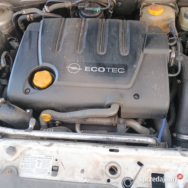 Opel Signum 19 Diesel 2006 Sprzedaz Zamiana Opel Lublin