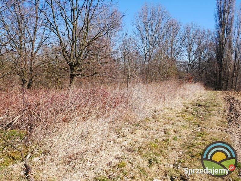 Niegoszowice gm Zabierzów działka 186 arowa w małopolskie