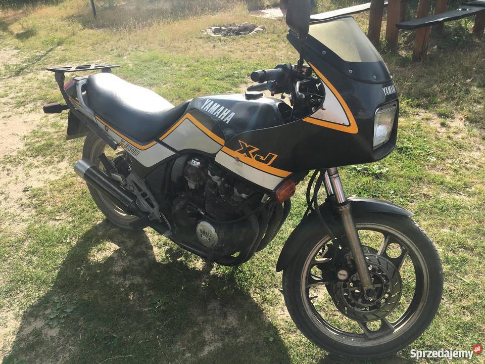 SPRZEDAM DWA ŚCIGACZE pomorskie Rytel