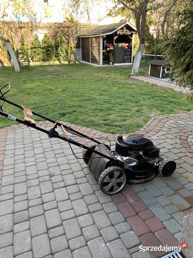 Kosiarka spalinowa Texas black edition z napędem