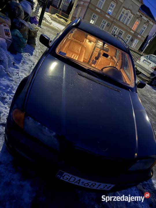 BMW e46 wojownik Nowe