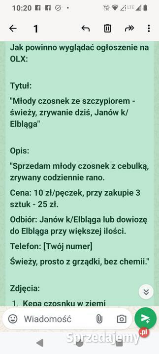 Czosnek ze szczpiorem