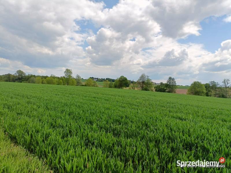 PIĘKNE WIDOKOWE DZIAŁKI W KORCZYNIE 60zł/m2 Korczyna