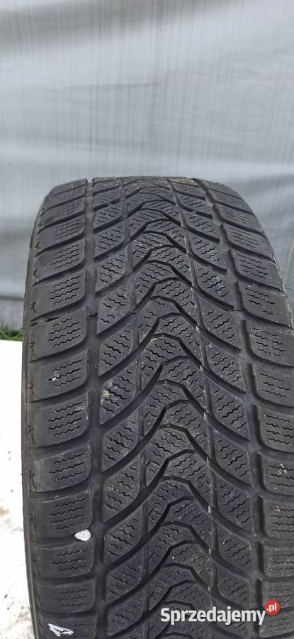 2 opony zimówki Delinte 2254517r 6mm 18r Samochodowe