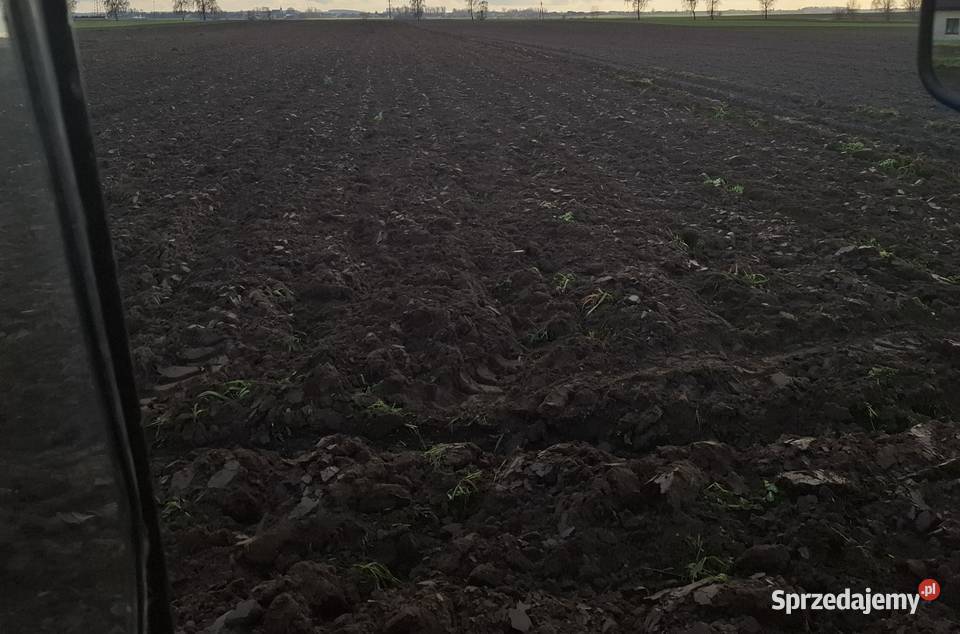 Pług 4 skibowy Fortschritt zagonowy Wieluń