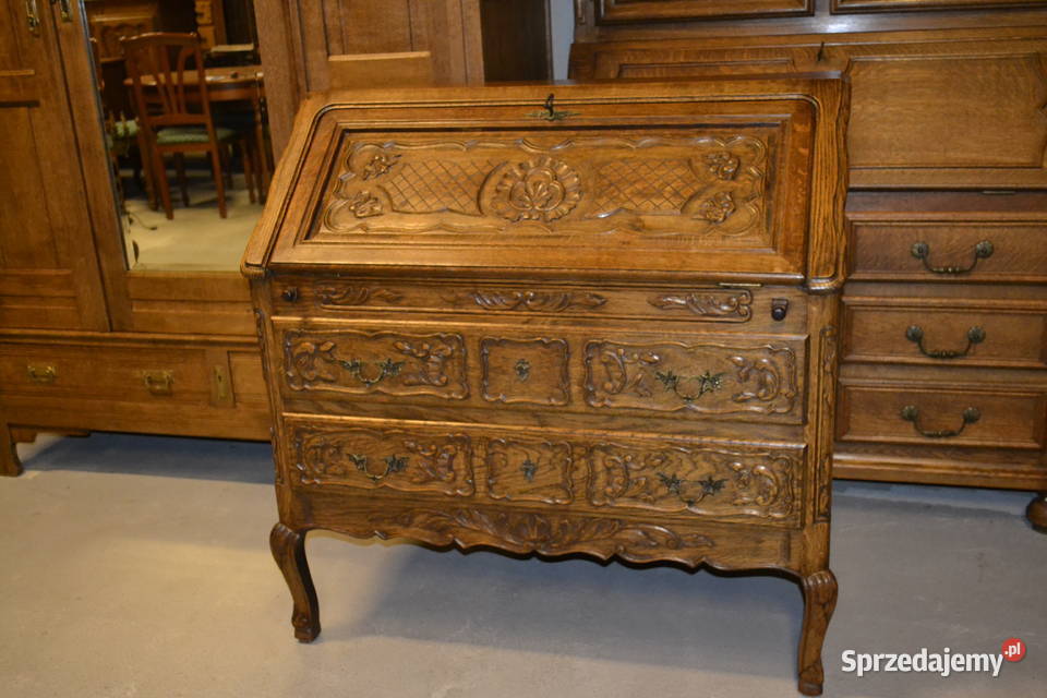 sekretarzyk ludwikowski lity dąb 2 Będzin