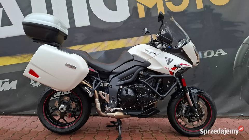 Triumph Tiger 2014 łańcuch Triumph