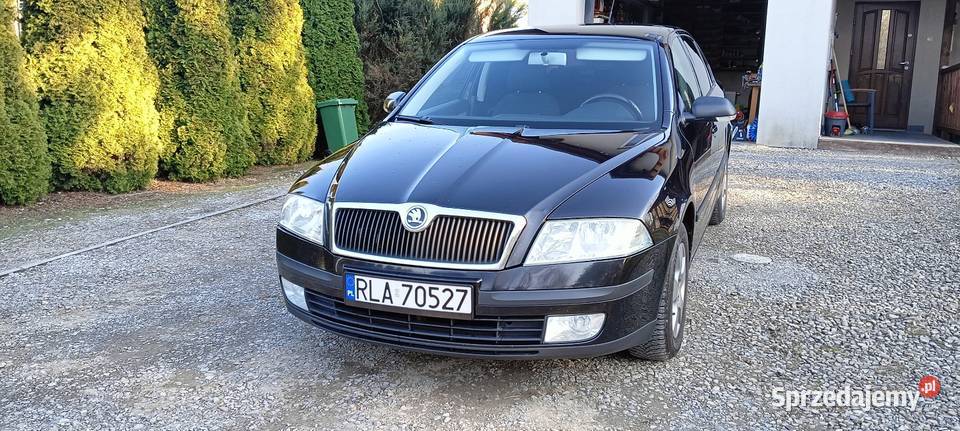 Skoda Octavia II 19 TDI 4/5 Łańcut