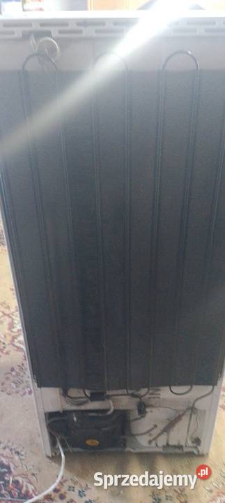 Zamrażarka privileg 125cm Dom i Ogród Grzymała