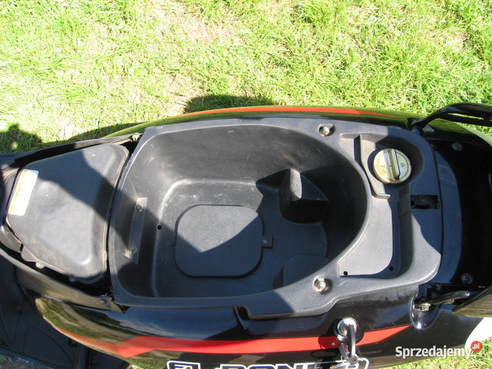 El Bonito Iwszy właść serwisowany nowy Wolbrom