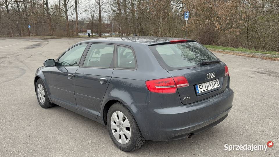 Audi A3 8P 2010 Częstochowa