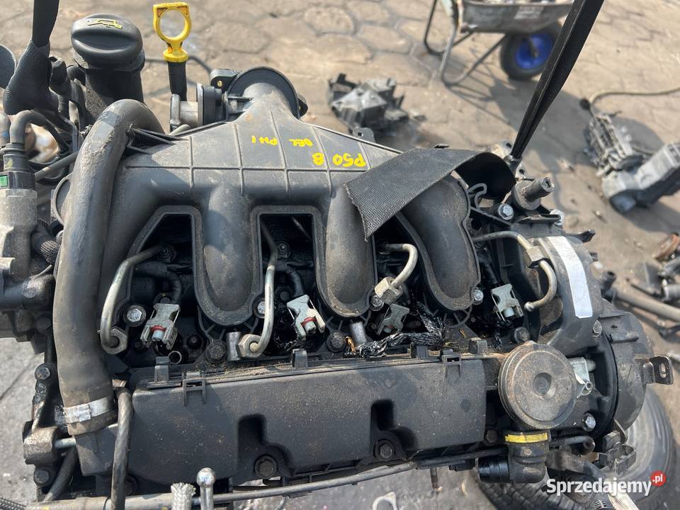 Silnik 20 HDi Psa RH01 Citroen Peugeot delphi lubelskie Radzyń Podlaski