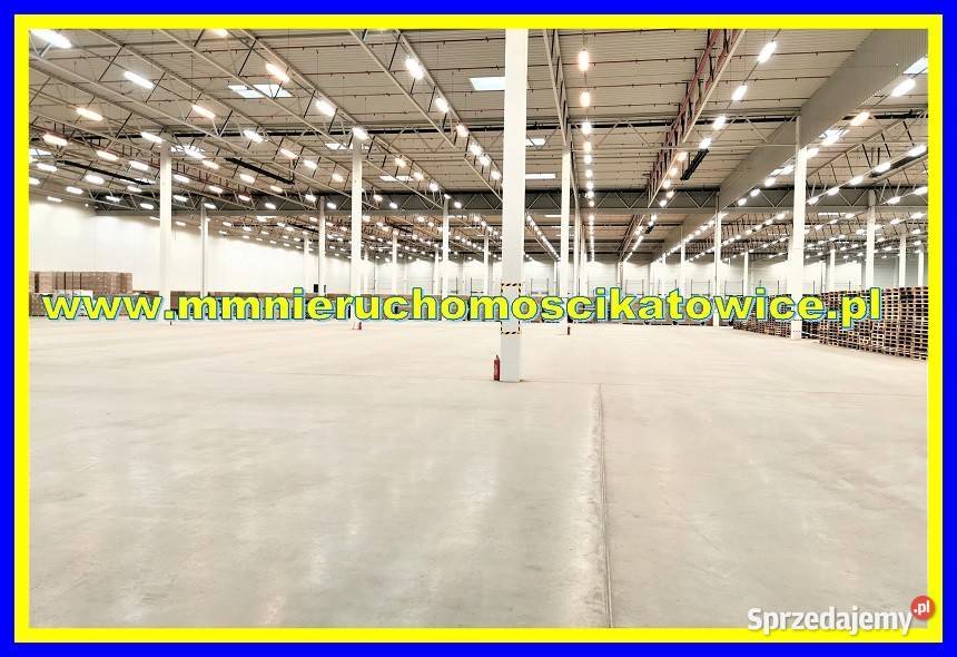 Powierzchnie magazynowe do wynajęcia 200 10000 1200m2 śląskie