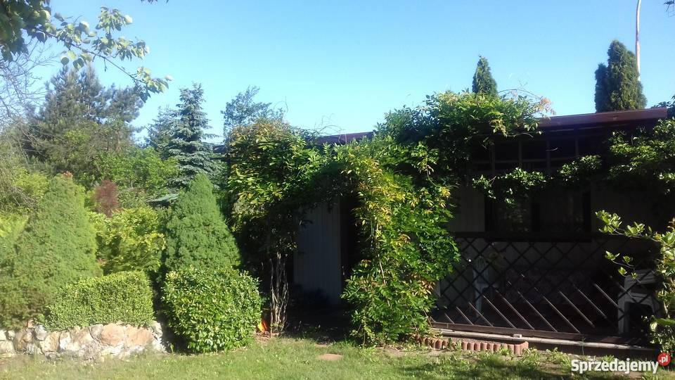 Sprzedam śliczną działkę rekreacyjną prąd Grunty i działki śląskie Częstochowa