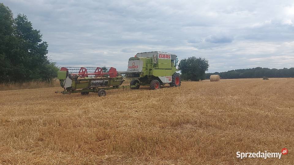 Class dominator 114 Lipka