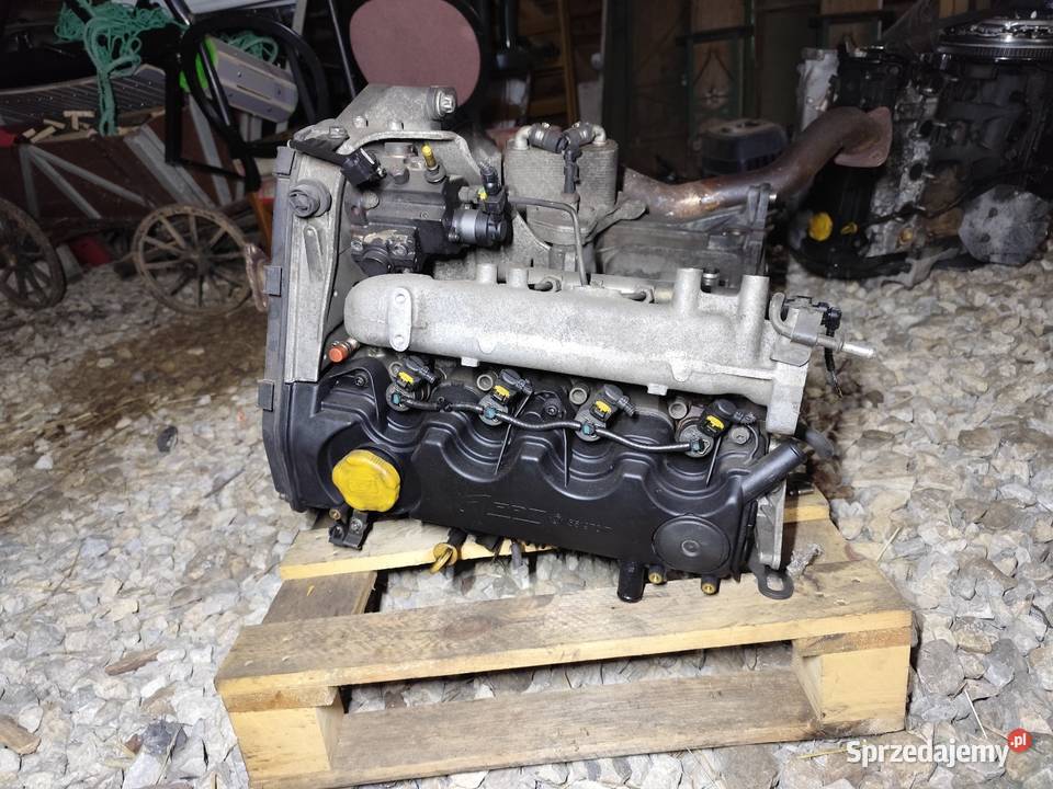 Silnik 19 jtdCDTI 8v 120 Alfa Romeo Fiat Opel sprzedam