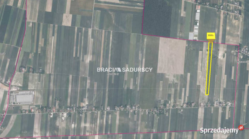 Działka 30500m2 PrandocinIły 42m sprzedam