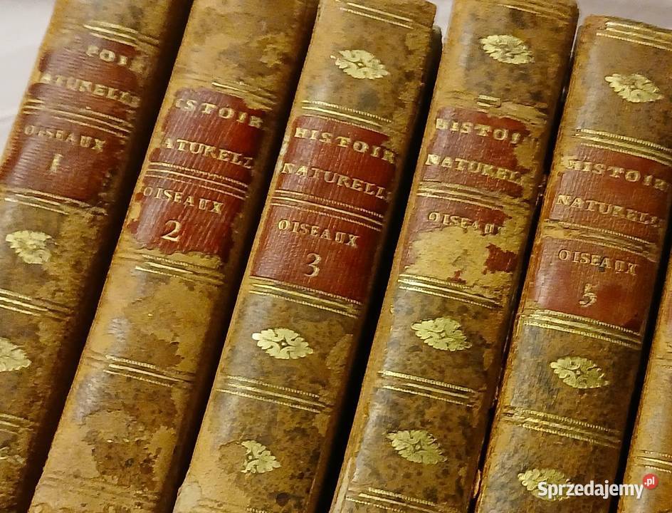 Starodruk Buffon Histoire Naturelle des Oiseaux Poznań