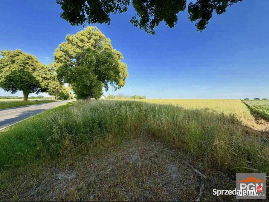 Ogłoszenie działka Gryfice 1500m2 sprzedam