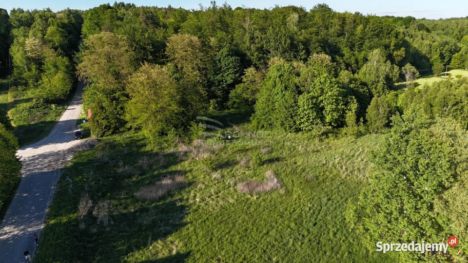 Działka inwestycyjna 256 ha GrabnikKrasnobród Grabnik sprzedam