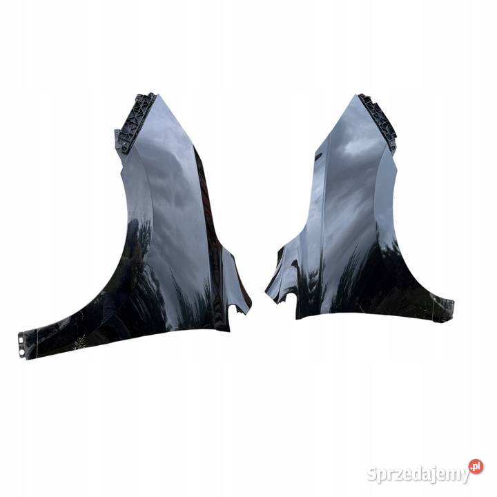 Błotnik Lewy przód przedni Kolor PAE Hyundai Barłogi