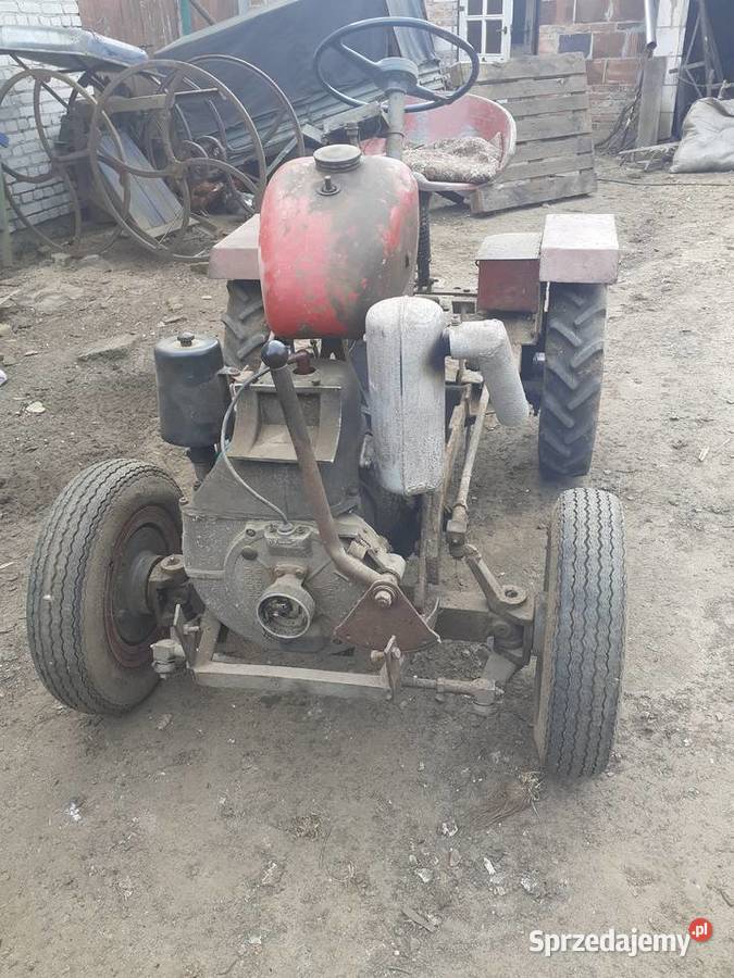 Traktor dzik sam sprzedam