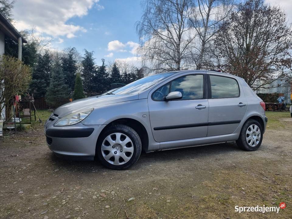 Peugeot 307 Dębno