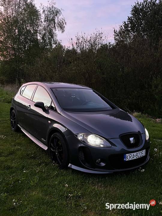 Seat Leon cupra małopolskie Racławice