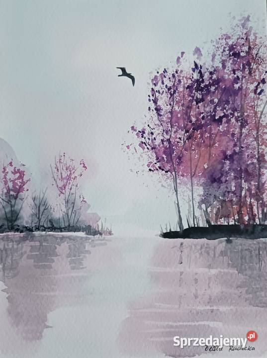 Akwarela Akwarelka Obraz pt Wodą 18 x 24 łódzkie Łódź sprzedam