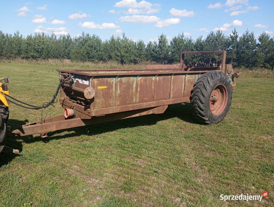 Rozrzutnik obornika wielkopolskie