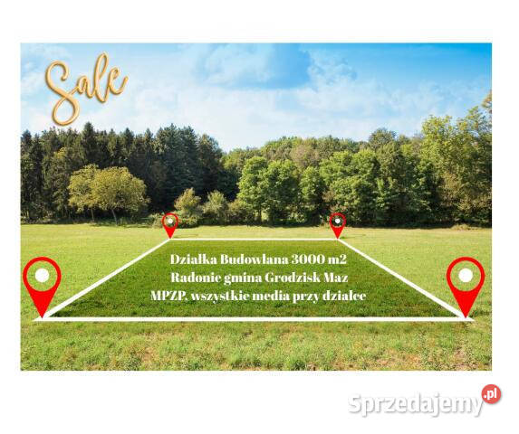 sprzedaży działki 3000m2 Radonie 50m