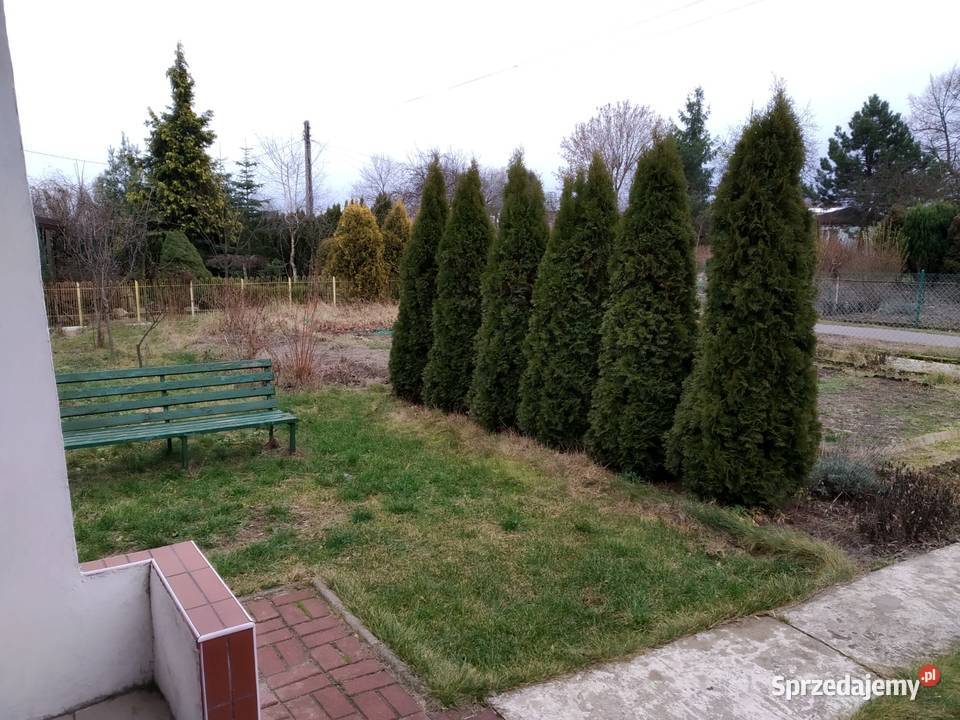 DZIAŁKA ROD TYSIĄCLECIE CZĘSTOCHOWA Grunty i działki sprzedam