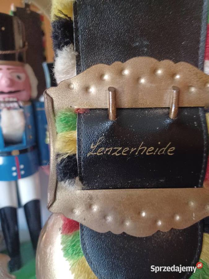 Piękny dzwonek krowiak Szwajcaria wielkopolskie Poznań