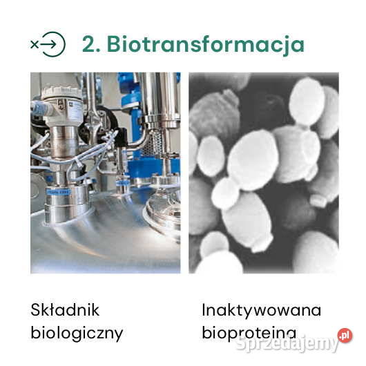 Mycofix Plus Dairy krów Biomin wielkopolskie Strzelce Wielkie sprzedam