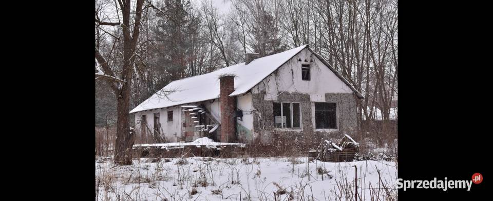 Dzialka 289ha Dom Dębiny Opole Lubelskie