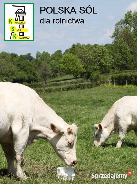 Lizawka solna Lisal M paleta 1000 Damasławek