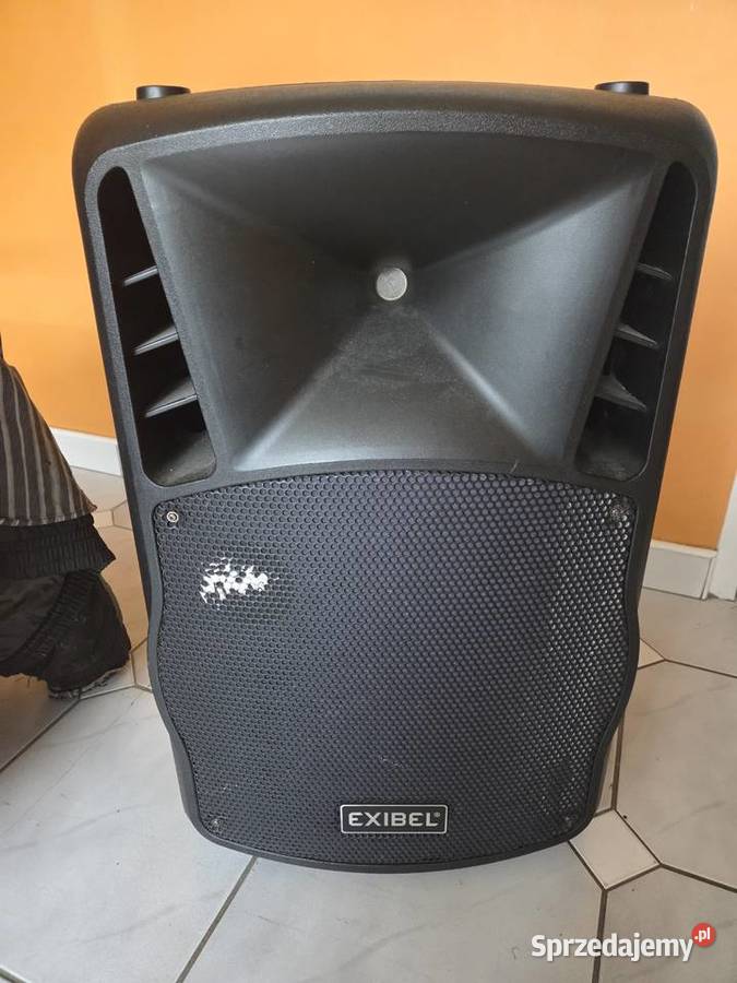 Głośnik Exibel fpx152bpx 1000