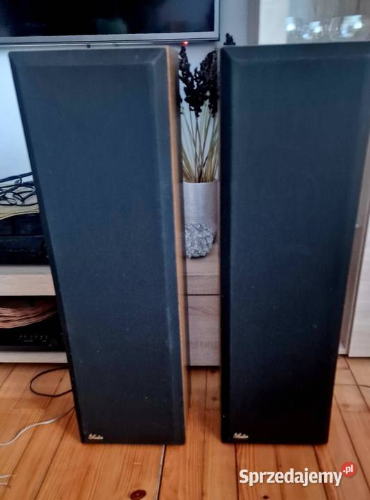 Głośniki stojące Kolumny podłogowe Audion HiFi Myscowa