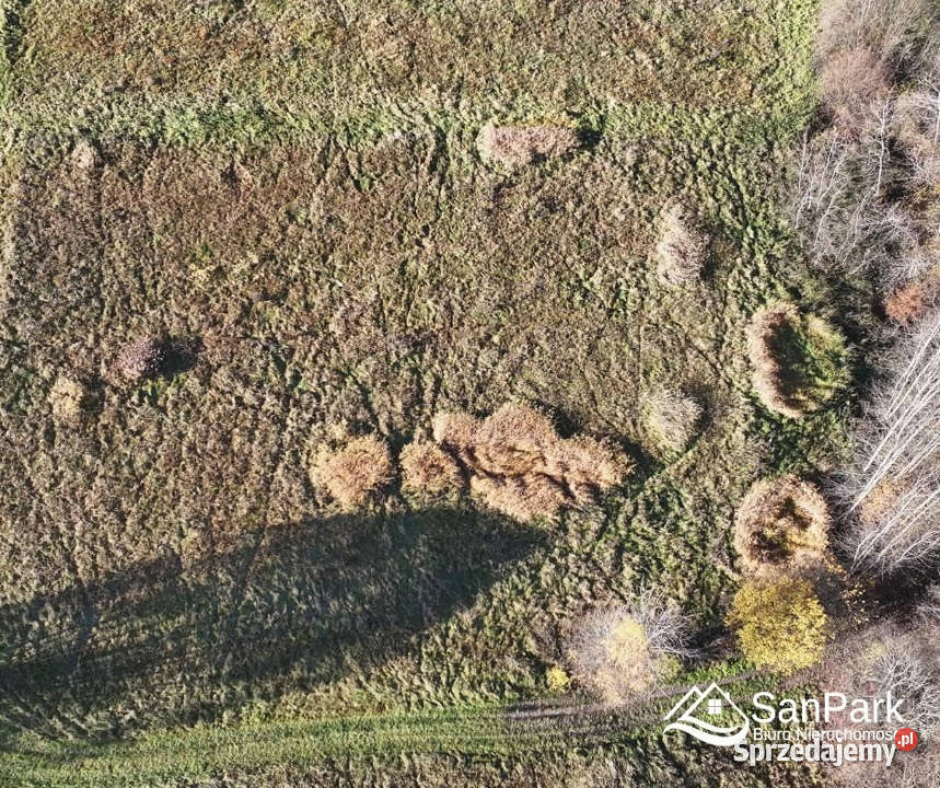 Działka Bezmiechowa Dolna 5000m2