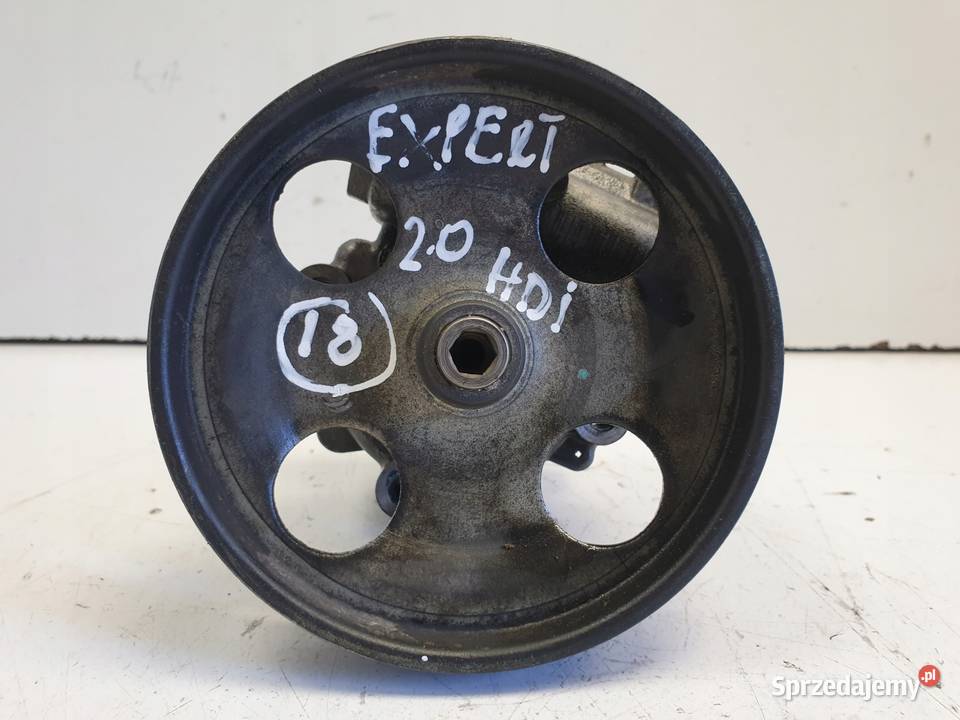 Peugeot Expert 20 HDI POMPA WSPOMAGANIA Rudka