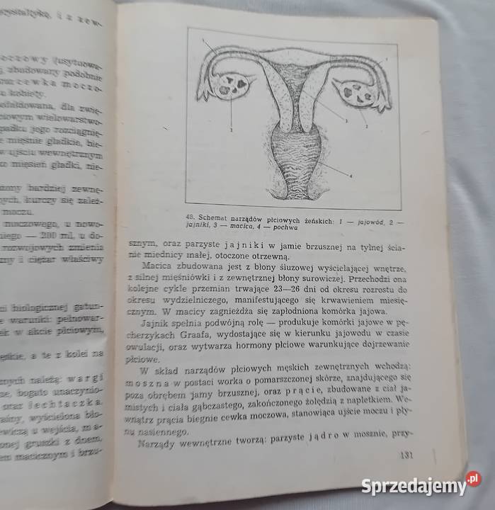 Zbigniew Bartkowiak Biomedyczne podstawy rozwoju Antykwariat