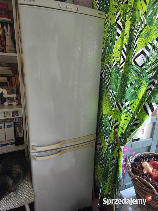 Lodówka Samsung używana działająca 150 wolnostojące Dęblin sprzedam