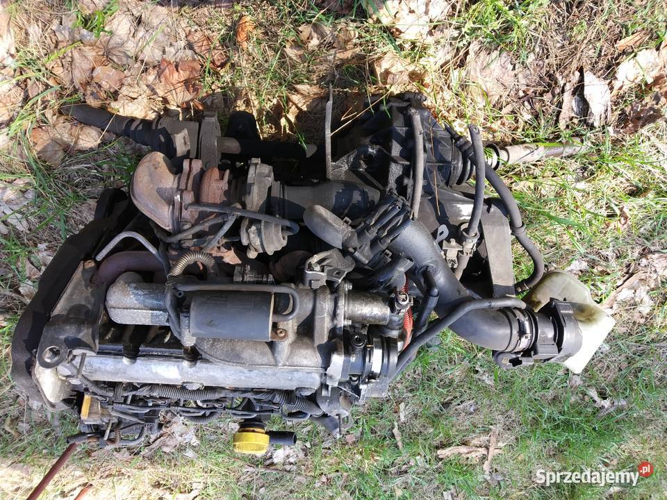 Silnik 19 dCi Renault Laguna II pęknięty pas Rok produkcji 2002 sprzedam