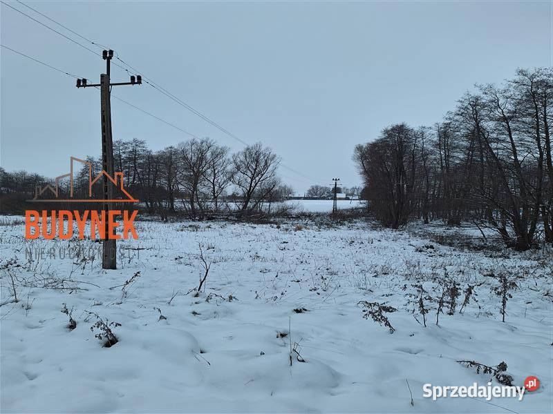 Działka rolna Przystawy